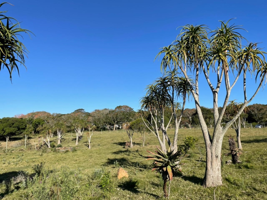 0 Bedroom Property for Sale in Bathurst Eastern Cape